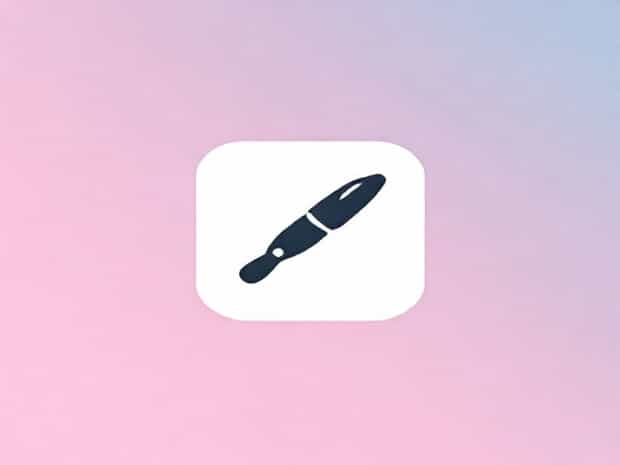 What Does Baster Mean