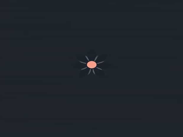 What Does Bloom Mean