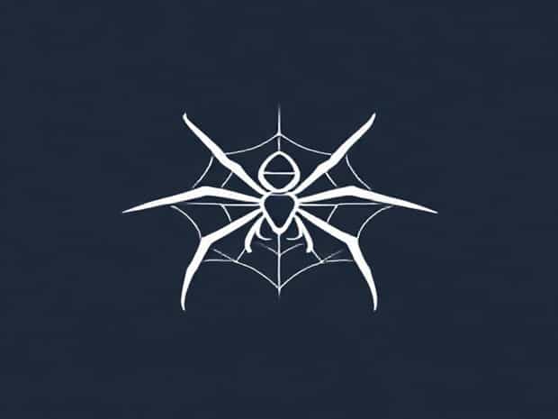What Does Triangulate Cobweb Spider Eat?