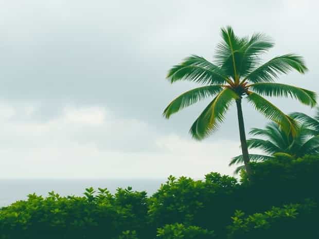 Where Is Tropical Storm Ernesto