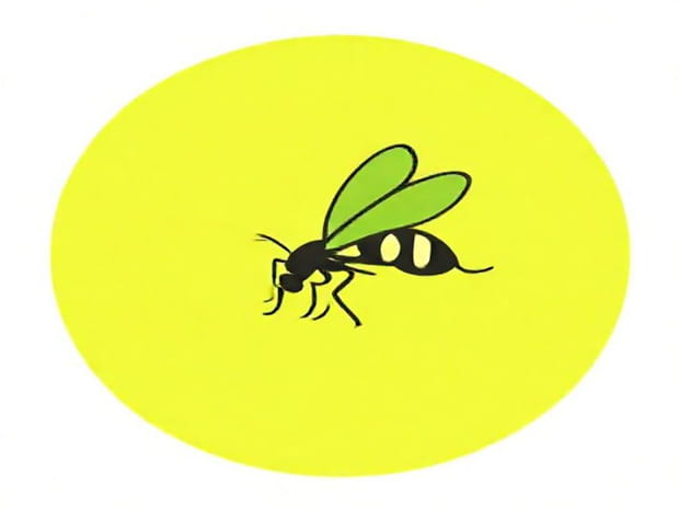 Caring For An Insectivore