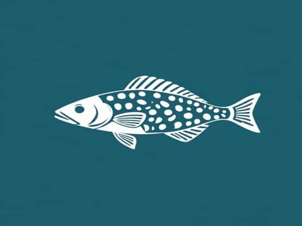 Class Of Bony Fish