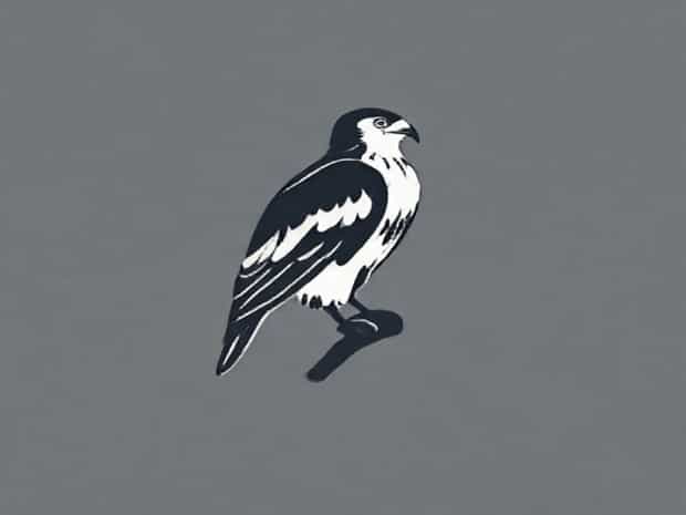 Cooper'S Hawk Near Me