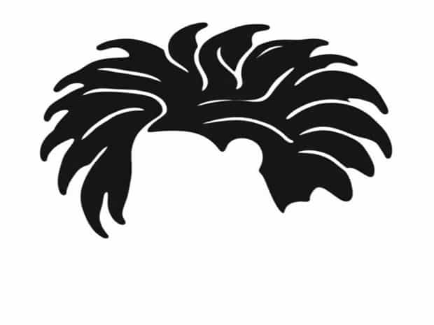 Cross Section Of Negroid Hair