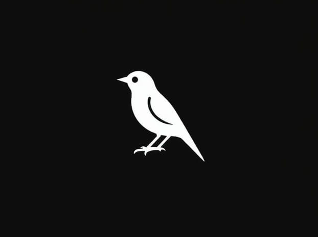 Crossword Clue Word Meaning Birdlike
