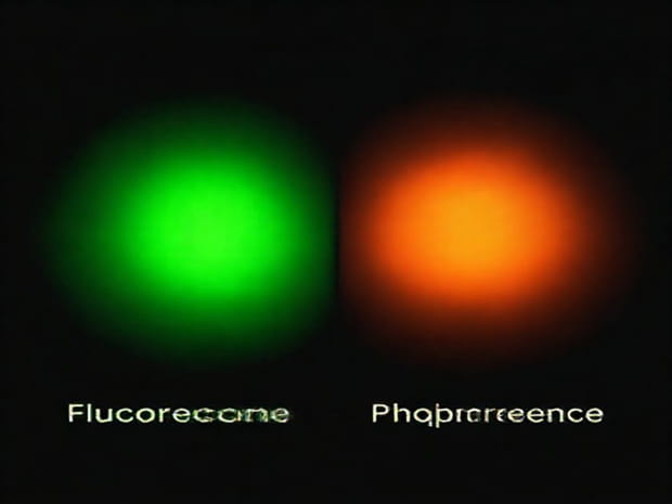 Difference Between Flotsam And Jetsam