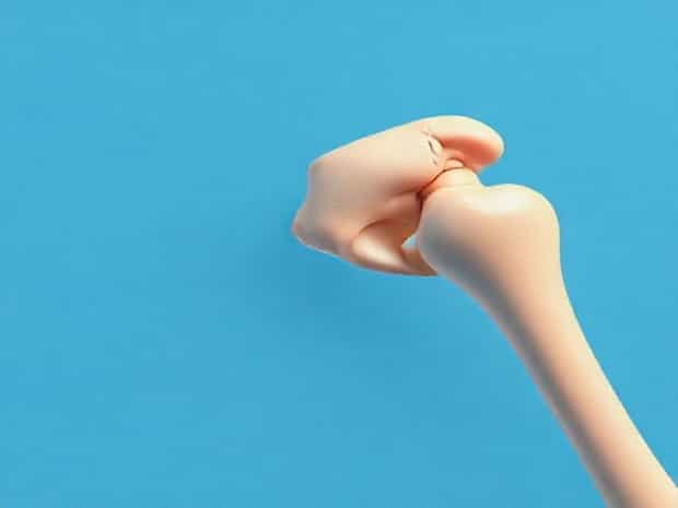 Distal Condyle Of The Humerus That Articulates With The Ulna