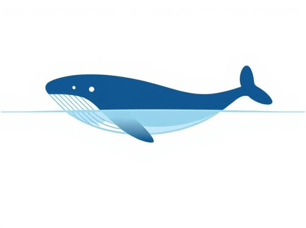 Examples Of Toothed Whales