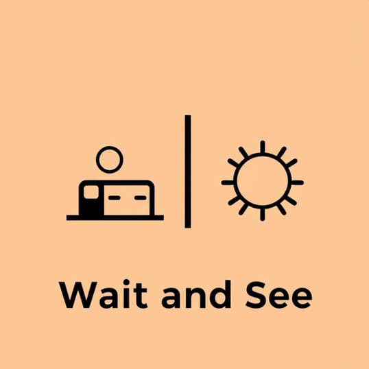 Expansionist Vs Expansionist Vs Wait And See