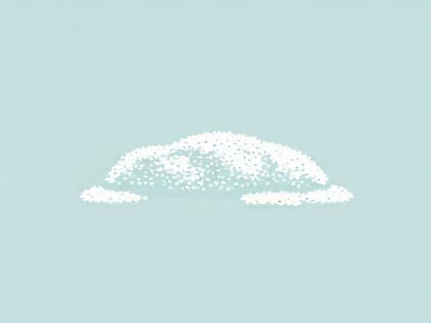 Flea Powder For Carpet