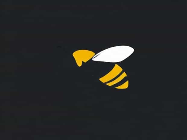 Fly Disguised As A Bee