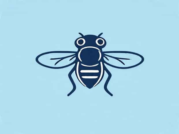 Fly Down Cackle Box Call