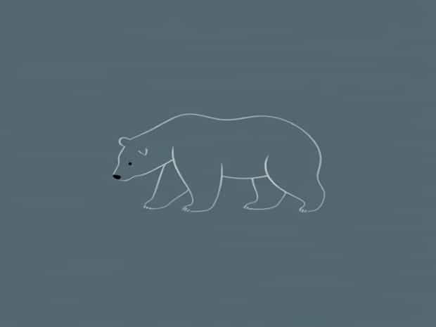 For How Long Do Bears Hibernate