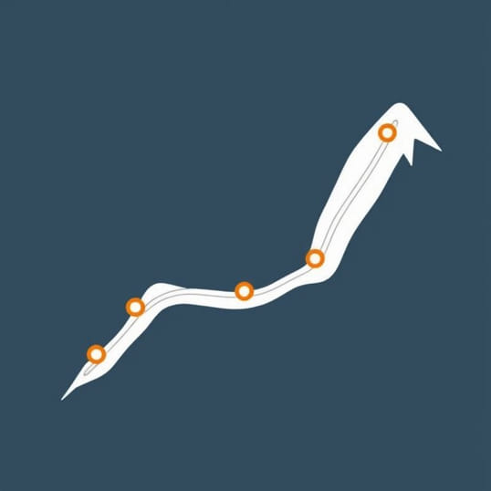 Funchal Toboggan Route Map