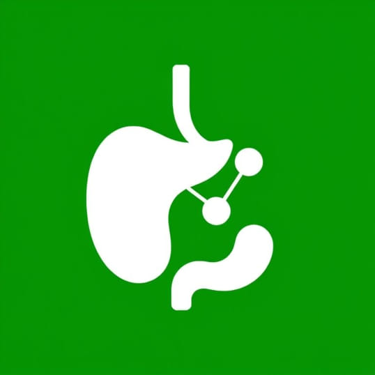 Function Of Gastric Inhibitory Peptide