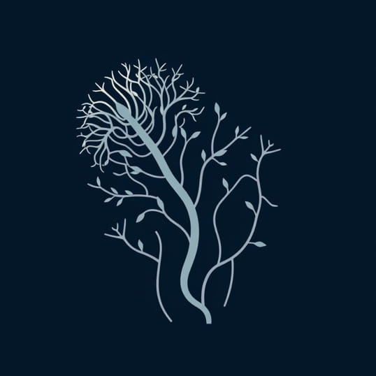 Give An Example For Unicellular Filamentous Algae