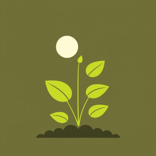 Give An Example Of Monera Having Chlorophyll