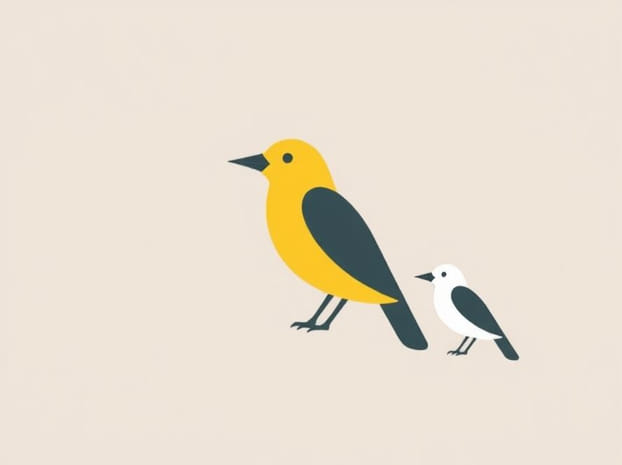 How Are Birds Classified