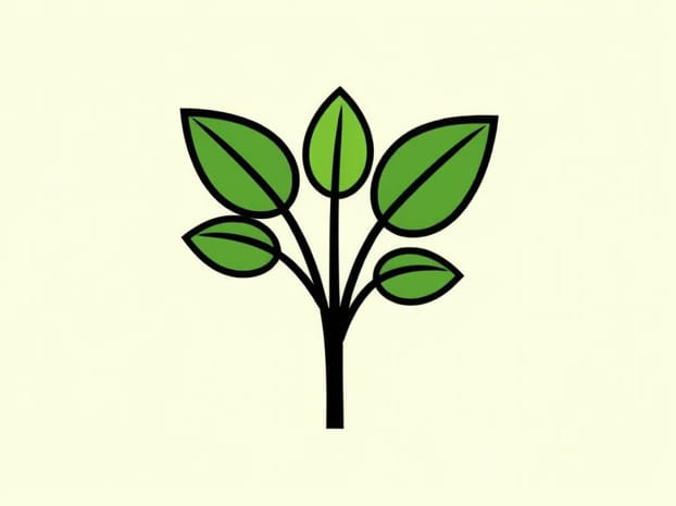 How Do Plants Use Chlorophyll