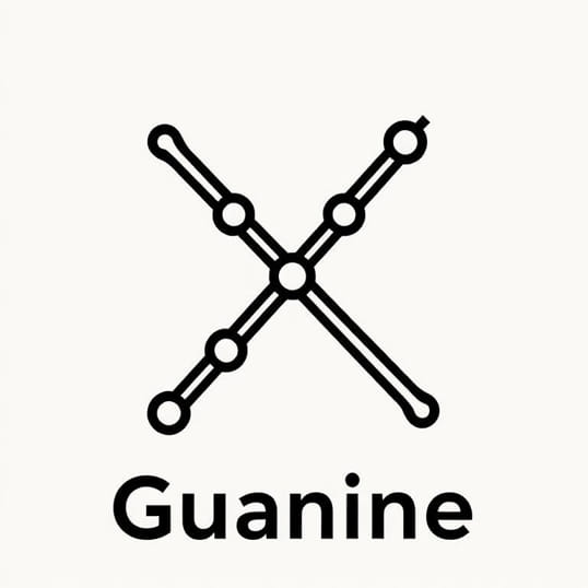 How Do You Pronounce Guanine