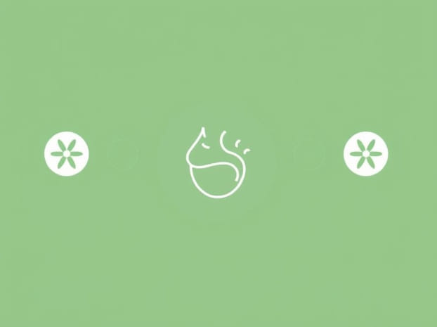 How Does The Olfactory System Work