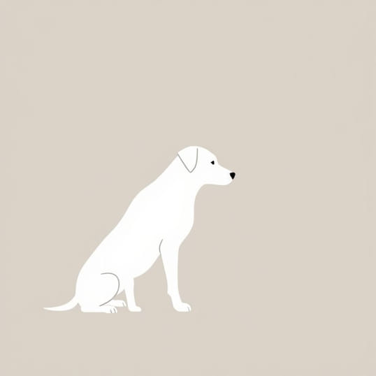 How Long For Dogs To Gestate