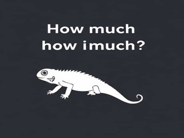 How Much Is A Pet Iguana