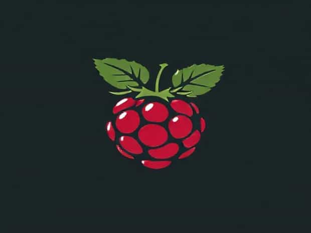 How To Plant Raspberry