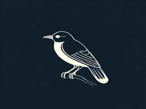 Is A Commodore A Bird