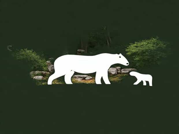 Is Dartmoor Zoo Still Open