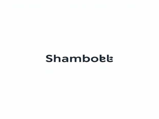 Is Shambolic A British Word