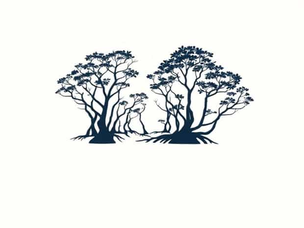 Is Sundarban A Mangrove Forest