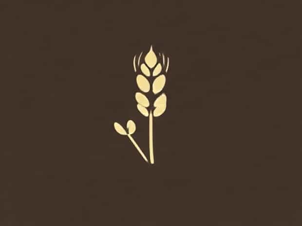 Is Whole Wheat Good For You