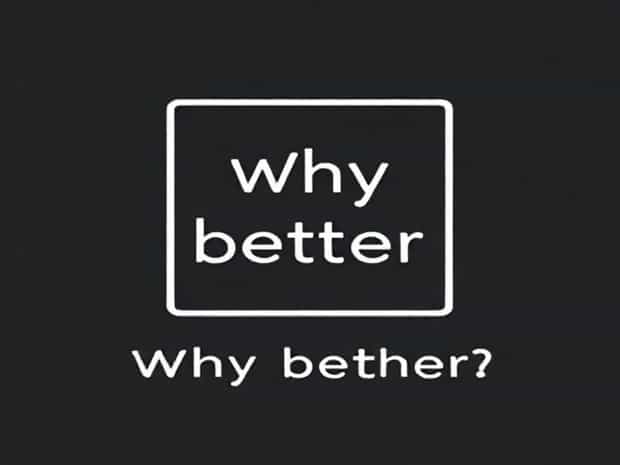 Jonathan Franzen Why Bother