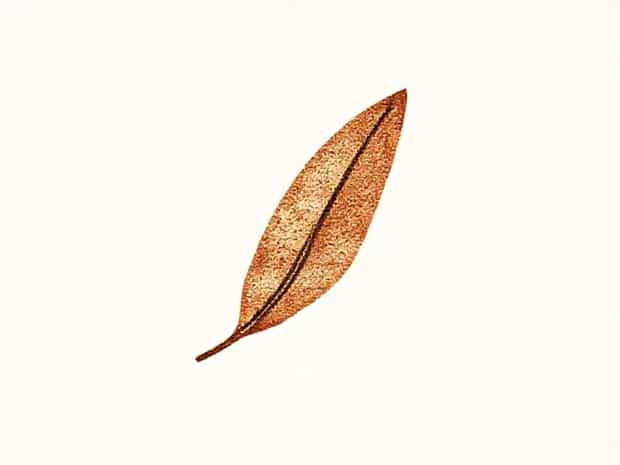 Jonathan Sims Rusty Quill