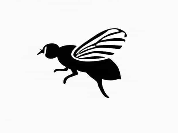 Kentucky Fly Veil Soundless
