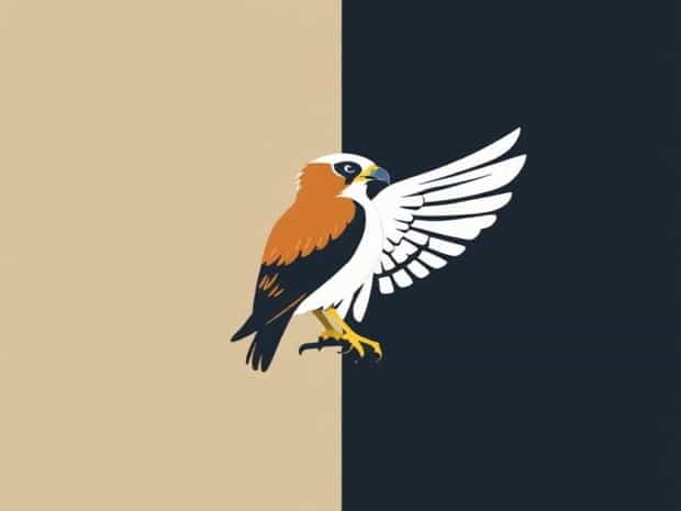 Kestrel Vs Sparrowhawk Size