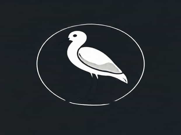 Les Aigrette Saint Gilles