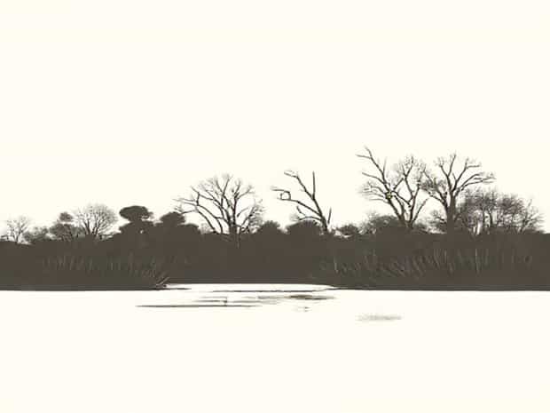 Lockwood On Buffalo Bayou