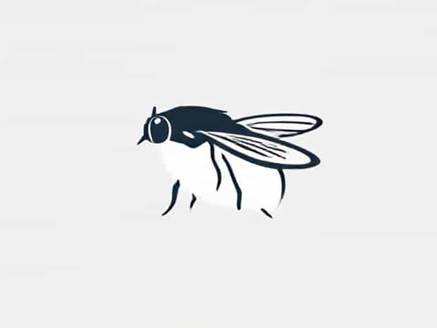 Look At That Blubber Fly