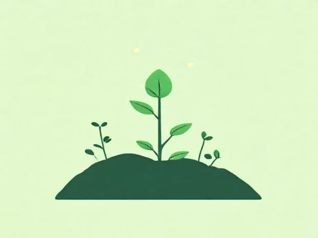 Chlorophyll Role In Photosynthesis