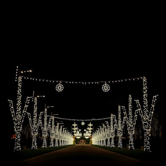 Christmas Lights Balboa Park