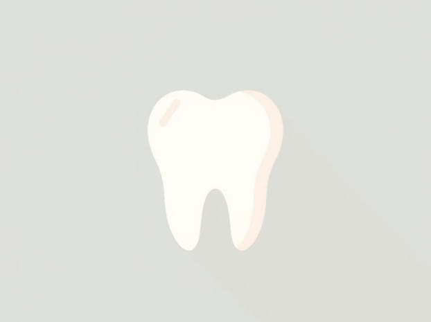 Define The Term Dentition