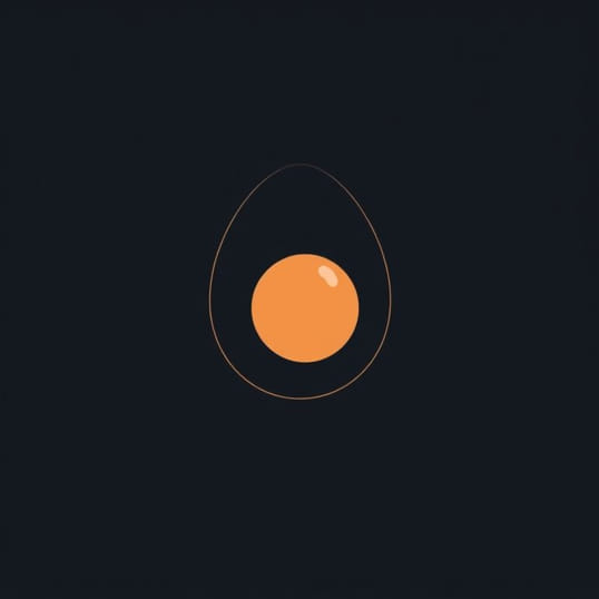 Development Of Fertilized Ovum
