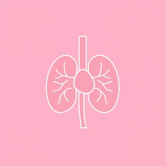 Diagram Of Adrenal Gland