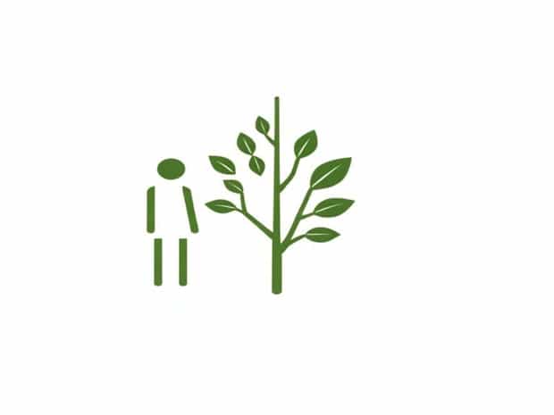 Difference Between Anthropocentric And Ecocentric