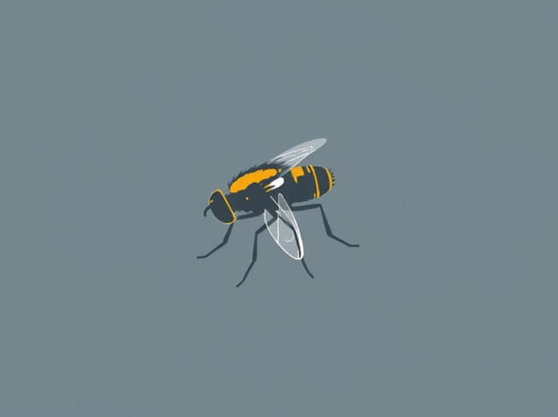 Do Pellucid Fly Bite
