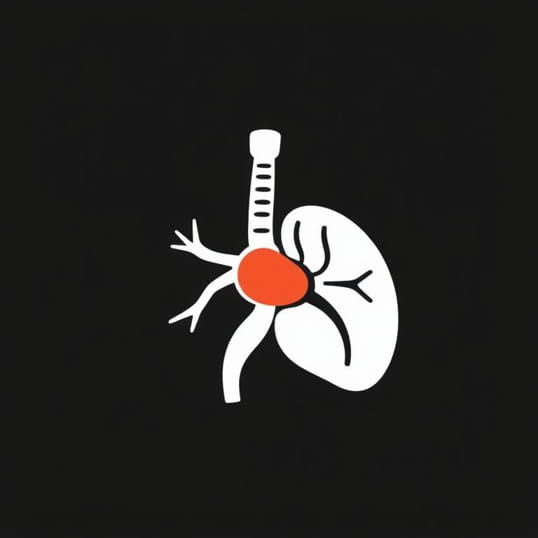 Exact Location Of Adrenal Gland