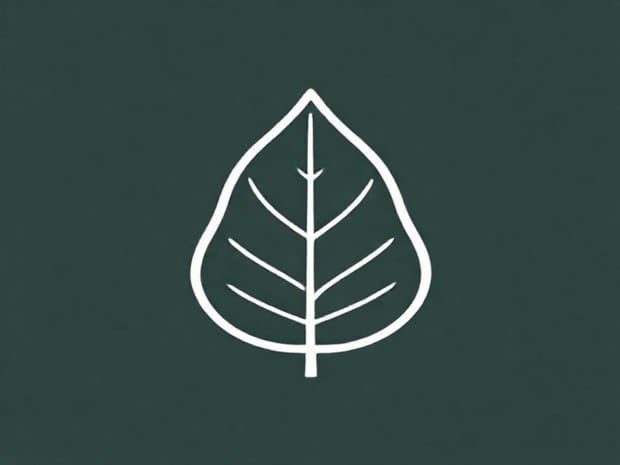 Example Of Stipulate Leaf