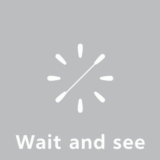 Expansionist Strategy Vs Wait And See